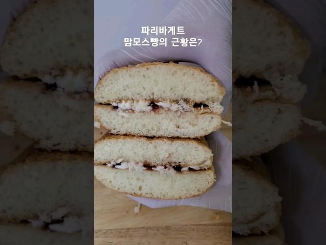 파바 맘모스빵의 근황은?#bakery #파리바게트