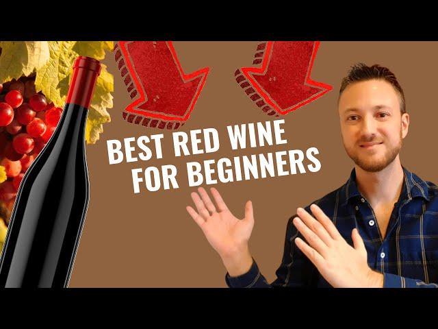 Top Red Wine for Beginners - Pinot Noir (Series #1)