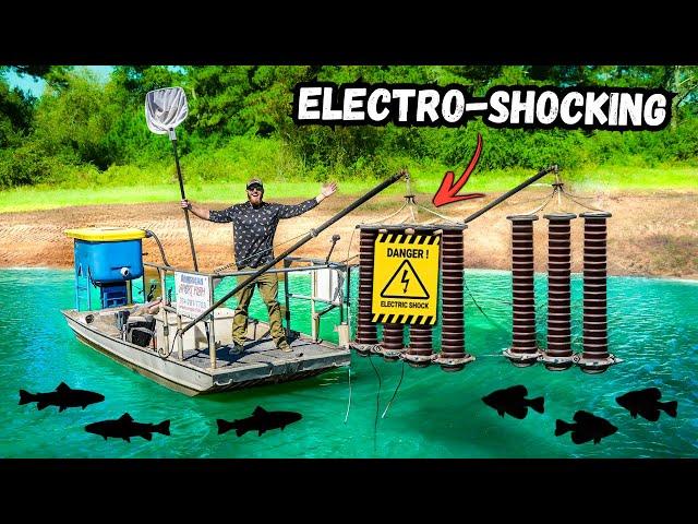 ELECTRO-SHOCKING My Backyard Pond w/ *HIGH VOLTAGE* ( catch clean cook )