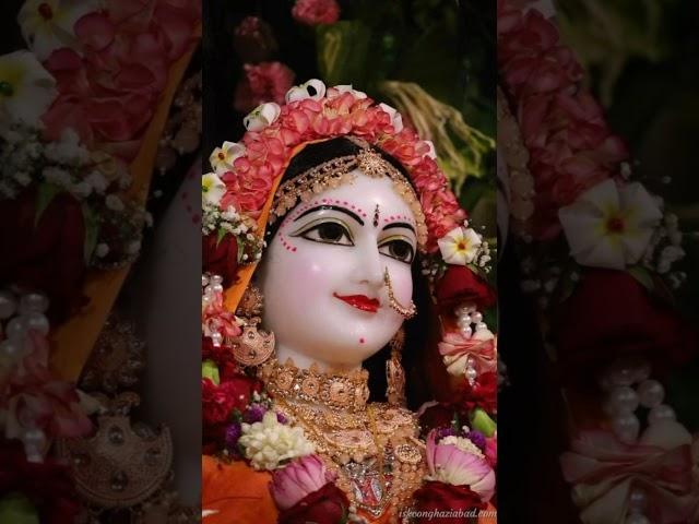Radha Gori Gori #radhagorigori #newbhagtisong #viralsong #new #radhekrishna radhekrishna 