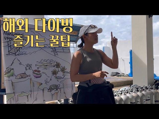 [스쿠버 다이빙] 해외 투어/다이빙 100배 즐기기