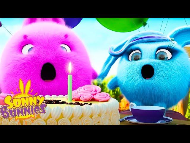 SUNNY BUNNIES - Cake and Balloons | Season 1 | Cartoons for Kids