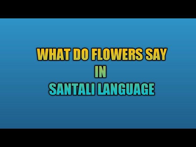 Learn SANTALI pronounce of flower