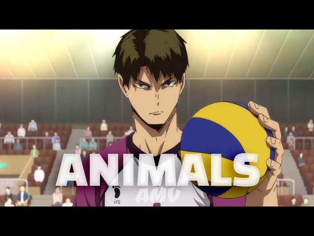 [AMV] Haikyuu!! - Animals