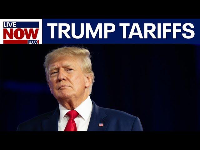 President Trump says Mexico-Canada tariffs to go into effect