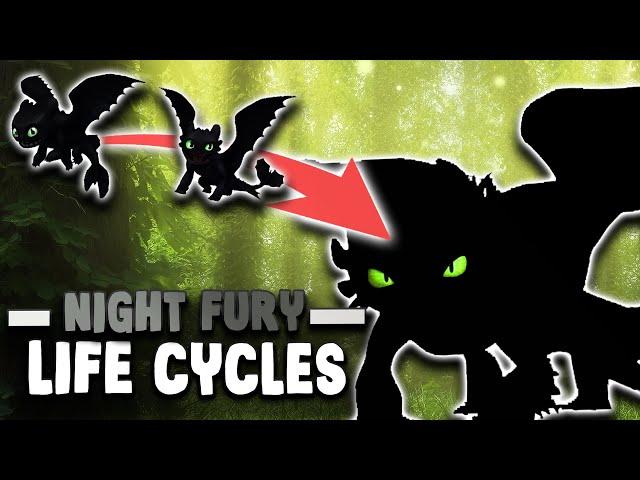 NIGHT FURY Life Cycles ⏳️ | How To Train Your Dragon