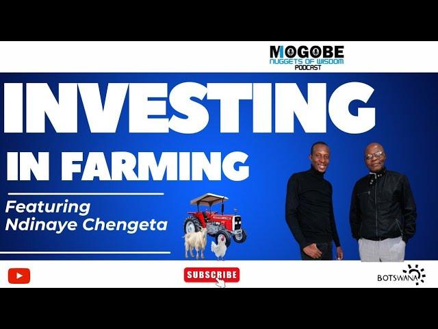 Nuggets On Investing In Farming Featuring Ndiyane Chengeta