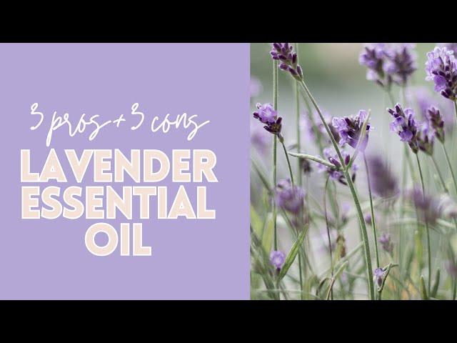 3 pros 3 cons lavender essential oil | Torey Noora