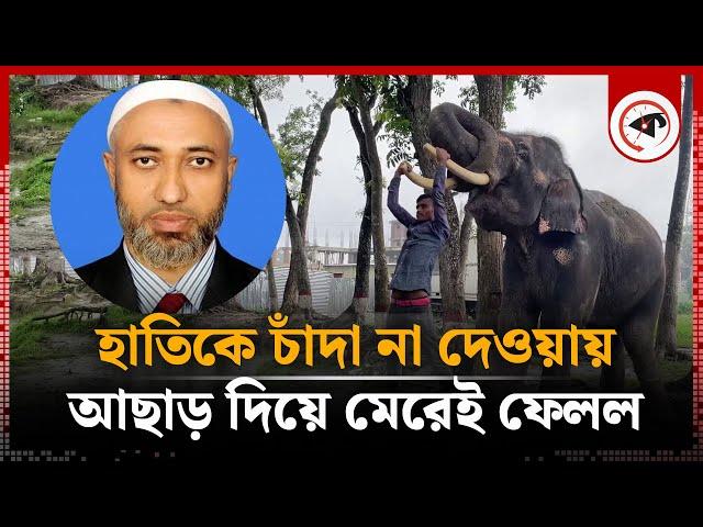 হাতিকে চাঁদা না দেওয়ায় শুঁড়ে পেঁচিয়ে আ'ছাড় দিয়ে মে'রেই ফেলল | Elephant Attack | Kishoreganj