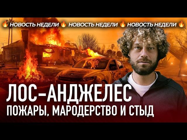 Пожары в Лос-Анджелесе: как сгорает Голливуд? | Новости, США, Байден, Трамп, Пэрис Хилтон