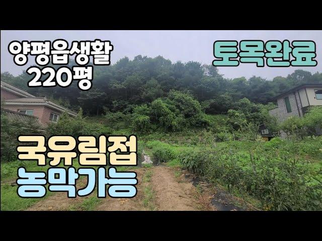 (양평토지매매)NO.20346 국유림접한 양평읍생활권 220평 농막도가능한토지/ 남동향,보전관리,지목전,양평역5km,국유림접/ 양평다온부동산 010-7124-7807