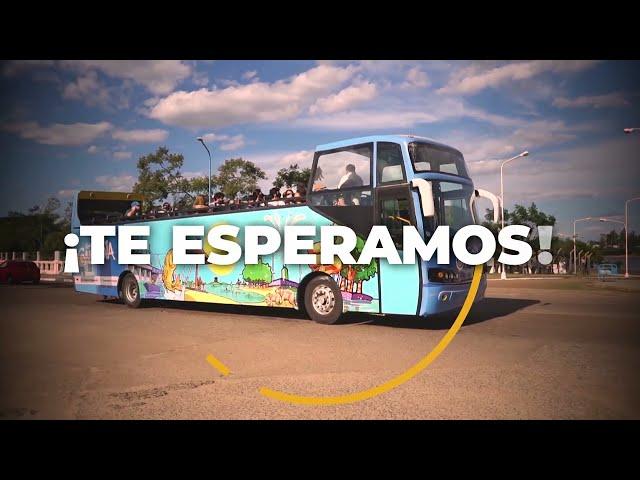 Bus Turístico - ¿Cómo es?