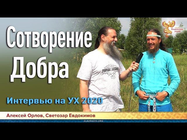 Сотворение Добра. Светозар