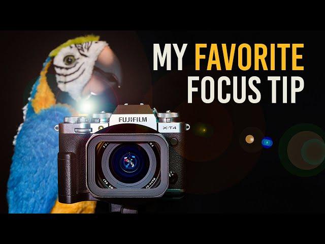 My FAVORITE Fujifilm Focus Tip (for video)