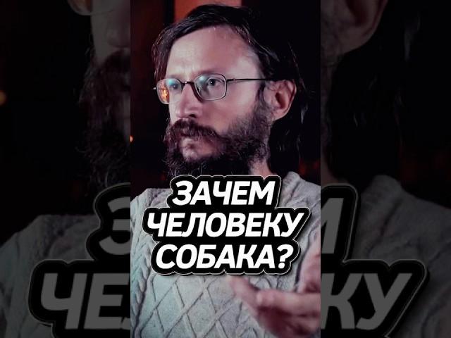 Дробышевский про Собак! #интересно