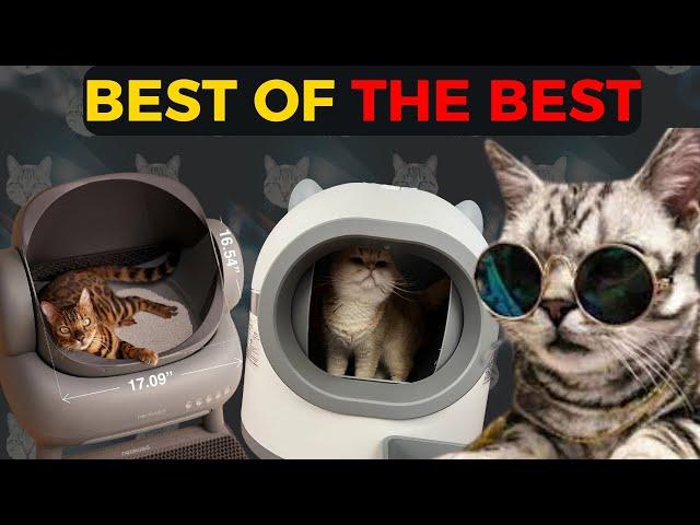 2024’s Best Self Cleaning Cat Litter Boxes | The Future of Cat Care