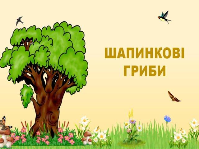Біологія 6 клас. Шапинкові гриби: види, особливості будови