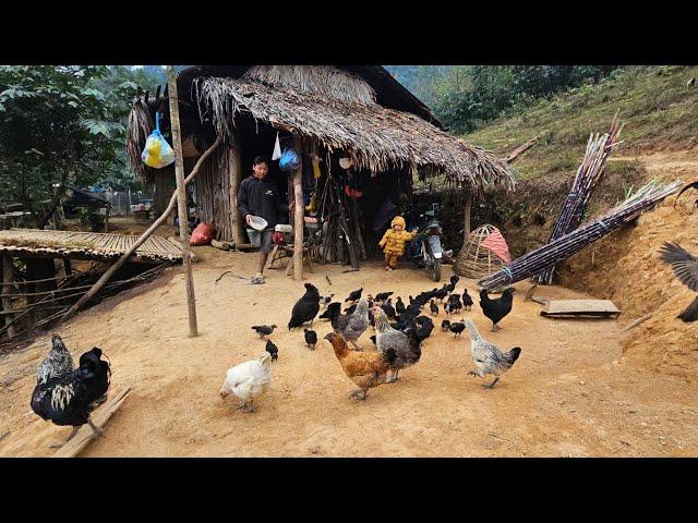 Sính 1 chân chăn dê sau tết giàu cỡ nào nhận mía trồng trên núi có ổn không. Nguyễn Tất Thắng