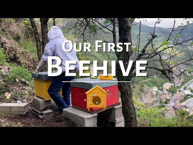 Beekeeping for Beginners  1. Installing our First Beehive | #beekeeping #bees #honey #france #alps