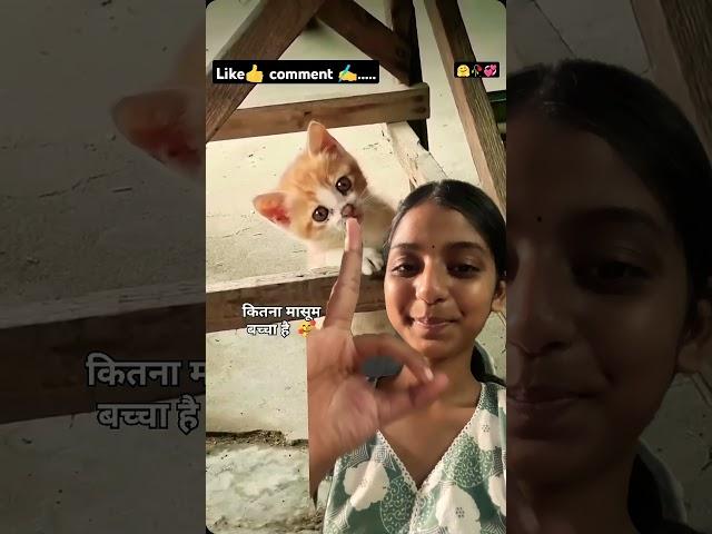 @YouTube