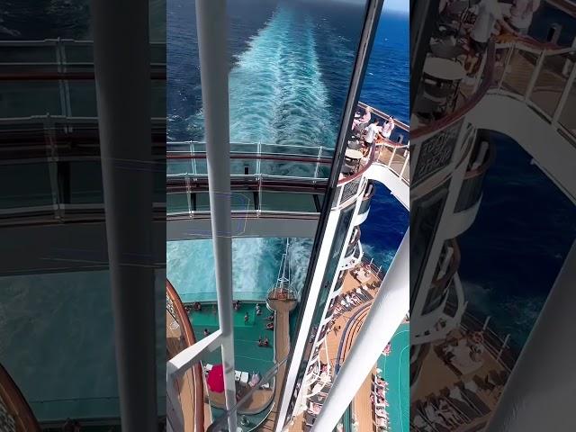 Msc Seascape all i want is you ma cherie 🫶 msc cruises  by msc friend guy wasserman ️