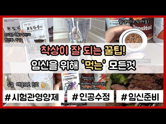 [시험관 성공 브이로그] 시험관아기 성공률 높이는법 / 시험관 아기시술과정/ 시험관 착상이 잘 되는 음식 / 시험관 시술/ 시험관 착상 /시험관아기 성공