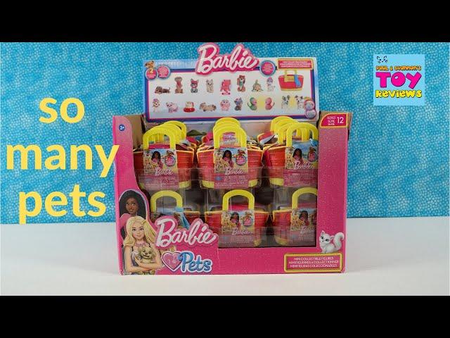 Barbie Pets Series 12 Blind Bag Figure Opening Review | PSToyReviews