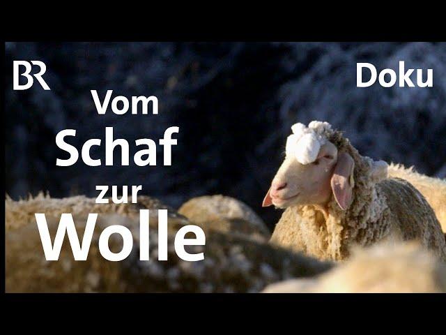 Schafwolle - Von der Schur bis zum Garn | Unter unserem Himmel | Doku | BR | Stricken