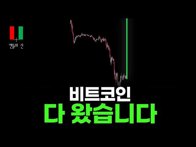 비트코인 캔들의 신 라이브