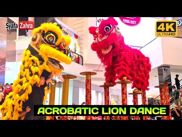  Acrobatic LION DANCE CNY 2023 - BARONGSAI MAHA VIRYA