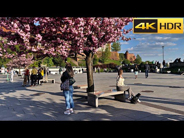  Poland Spring Walk | Krakow Walking Tour | European Bloom  [4K HDR]