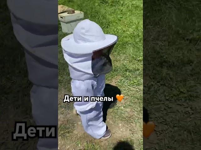 Созданы в этом мире друг для друга! Заводите пчёл и детей #пчеловодство #мёд  #обучение #дети