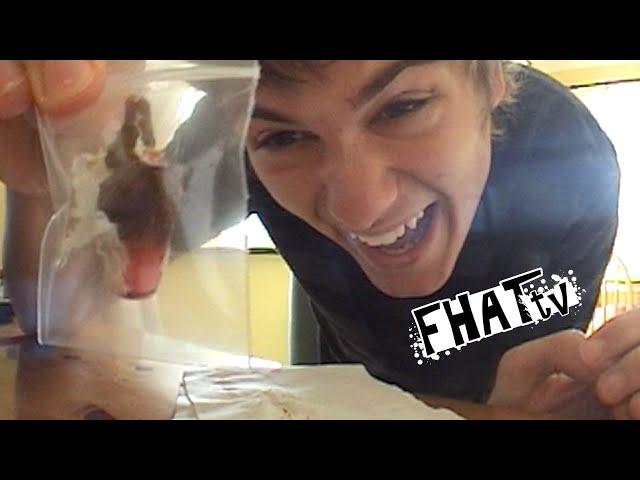 SWALLOWING A SEX TOY! | Fhat TV