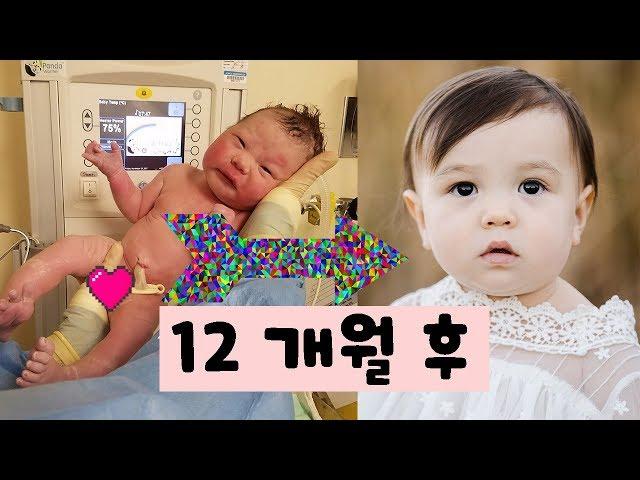 신비로운 천사의 12개월 성장 과정- 개월별 아기 특징(탄생의 신비로움)