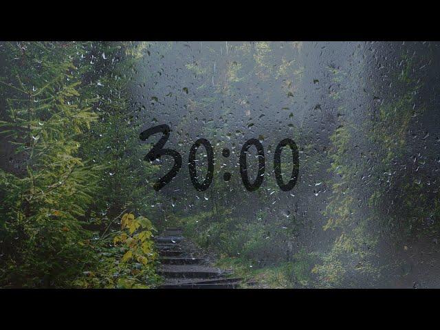 30 Minute timer with rain sounds