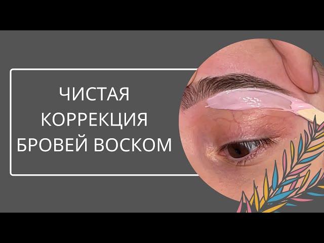 Коррекция бровей воском. Как меняется бровь после коррекции.