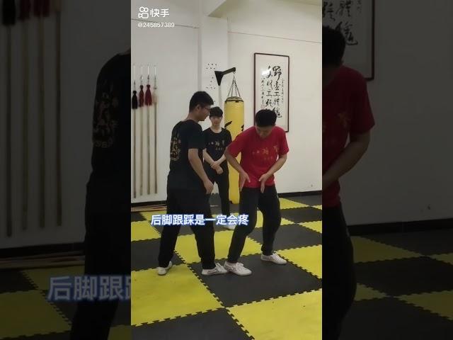 Baji Quan stomping explained by Mr Tang Qiang (sub Fr-Eng)