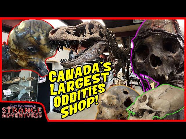 TOURING THE LARGEST ODDITIES SHOP IN CANADA! (Complete SHOP and MUSEUM tour!)