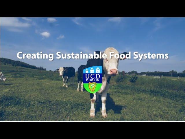 Creating Sustainable Food Systems at UCD