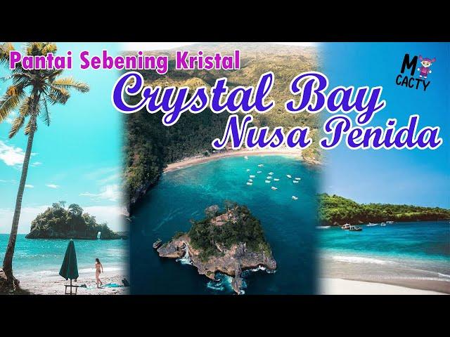 Crystal Bay Nusa Penida, Tempat Snorkeling Terbaik Dengan Pantai Sebening Kristal | 2022