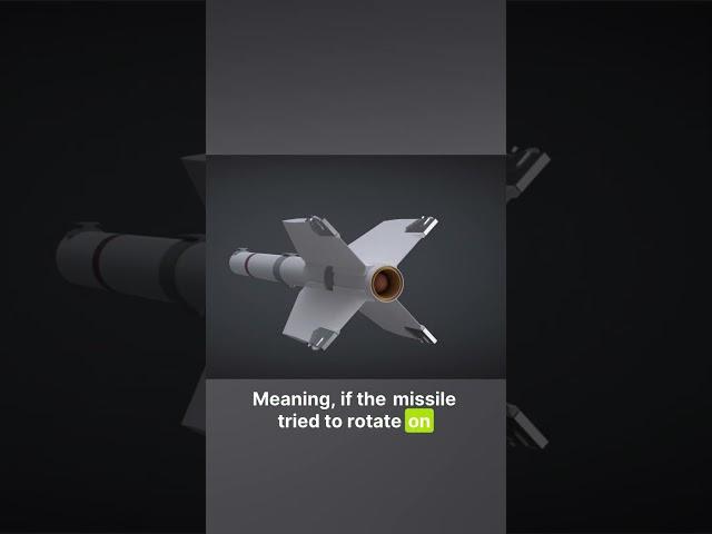 How the Rollerons on the AIM-9 Work #shorts