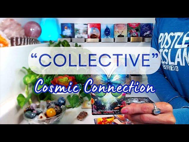 "COLLECTIVE MESSAGE" Timeless: Cosmic Connection ~ A Return On Your Investment So Keep Going!