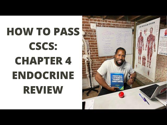 How to pass CSCS Ch. 4: Endocrine review w/ Show Up Fitness | Pass within 60-days w/ ONLINE classes