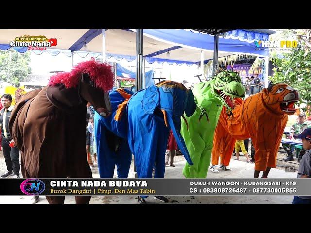 CINTA TERHALANG DOSA ~ IRWAN EMCEH ~ BUROK DANGDUT CINTA NADA BUDAYA SHOW KARANGBALE 29/08/2024