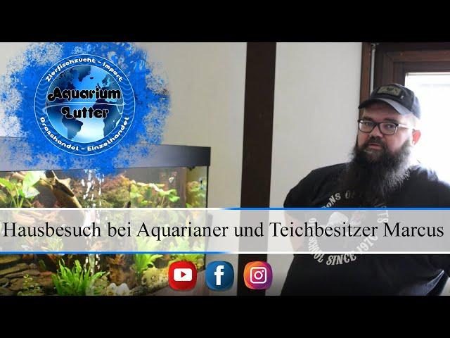 Ein Besuch bei Aquarianer und Teichbesitzer Marcus