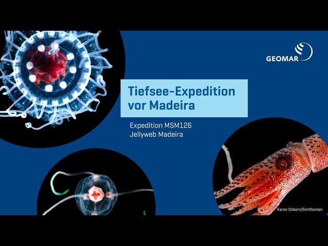 Eintauchen in faszinierende Tiefsee-Lebensräume - Dive into fascinating deep-sea habitats