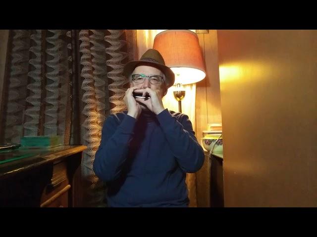 Whiskey in the Jar (trad. Irish) harmonica