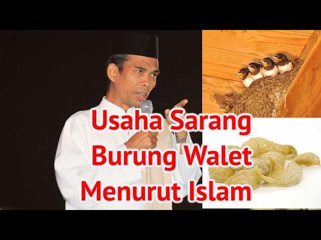 Sarang Burung Walet Menurut Islam