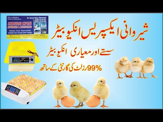 Best Incubators Maker in Pakistan Best performance egg incubator Sherwani expres incubator Multan