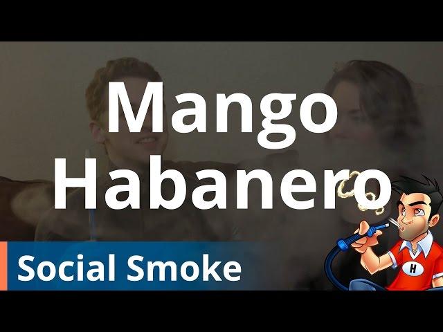 Social Smoke Mango Habanero Shisha (Hookah) - Review